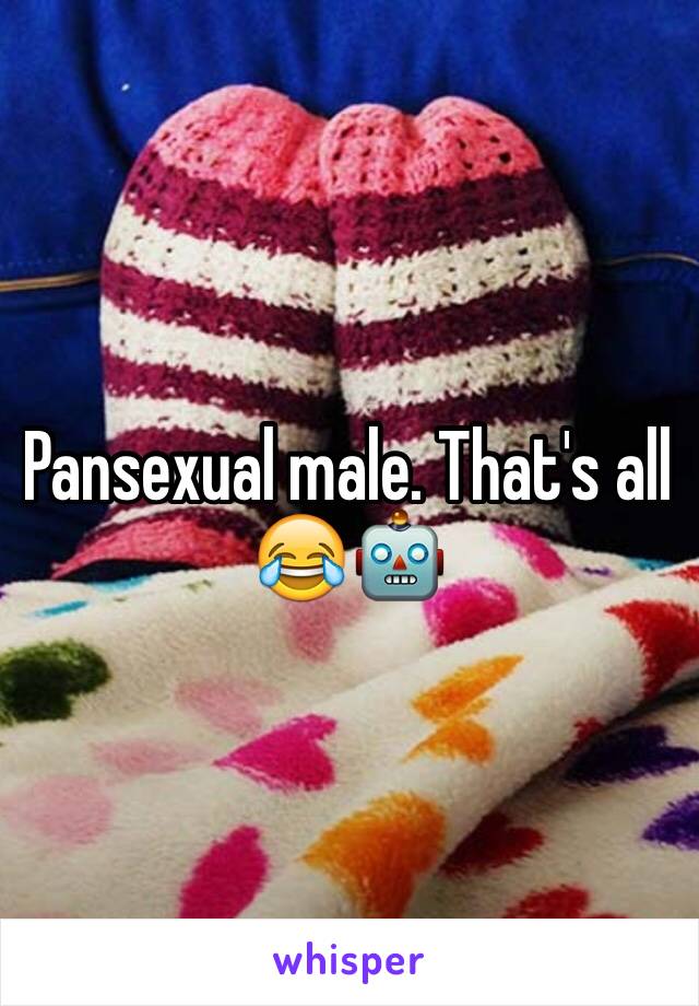 Pansexual male. That's all 😂🤖