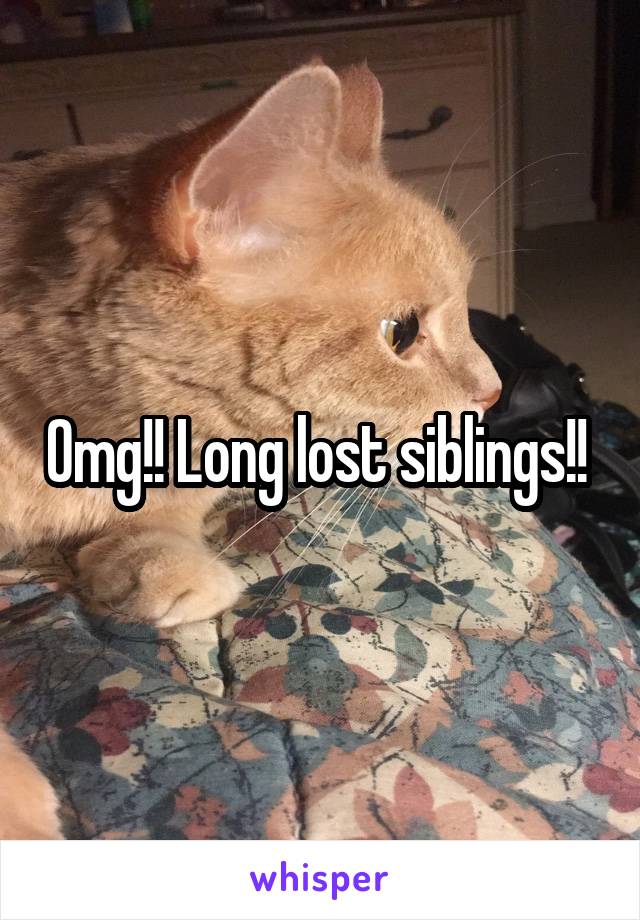 Omg!! Long lost siblings!! 