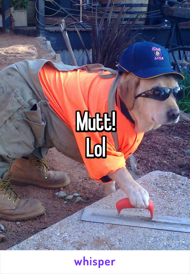 Mutt!
Lol