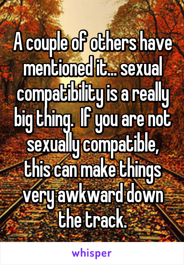 A couple of others have mentioned it... sexual compatibility is a really big thing.  If you are not sexually compatible, this can make things very awkward down the track.