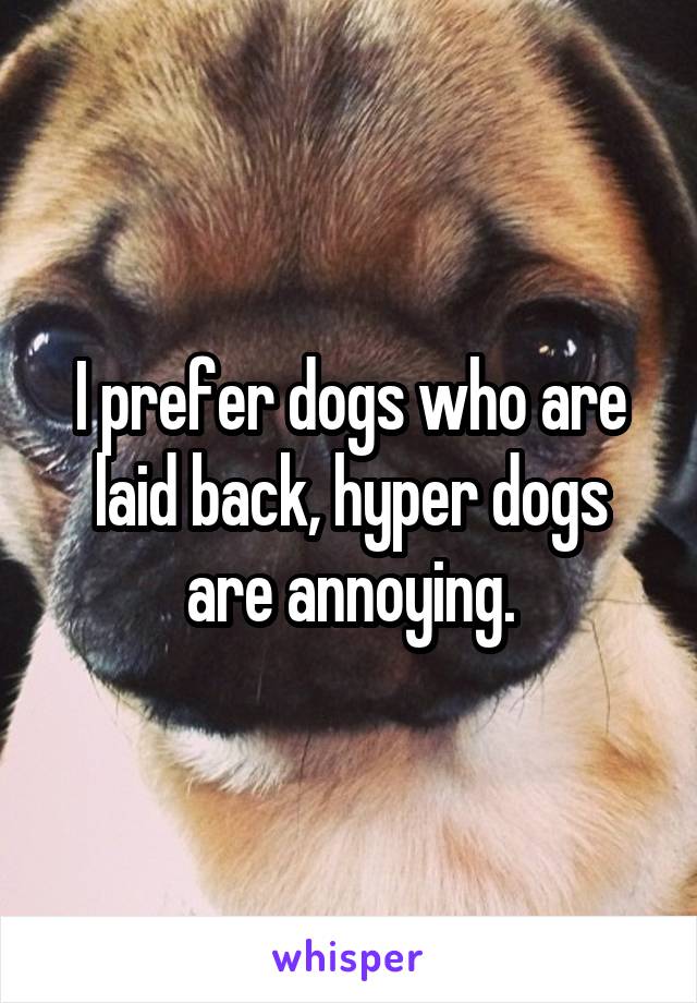 I prefer dogs who are laid back, hyper dogs are annoying.