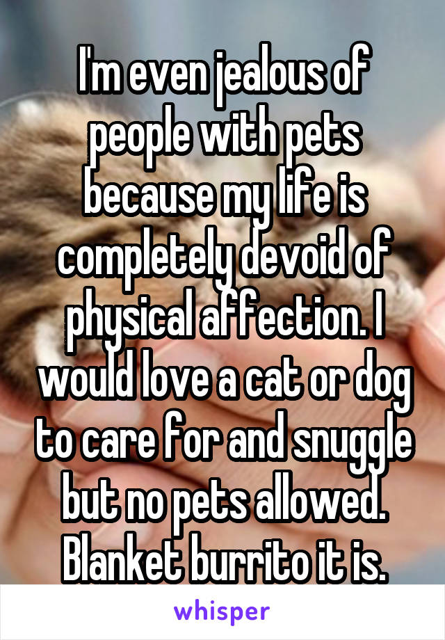 I'm even jealous of people with pets because my life is completely devoid of physical affection. I would love a cat or dog to care for and snuggle but no pets allowed.
Blanket burrito it is.