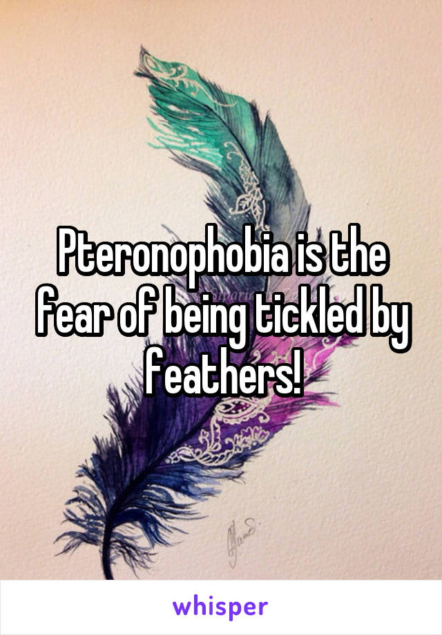 Pteronophobia is the fear of being tickled by feathers!