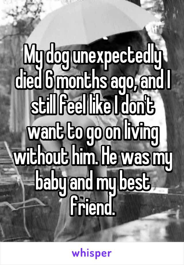 My dog unexpectedly died 6 months ago, and I still feel like I don't want to go on living without him. He was my baby and my best friend.