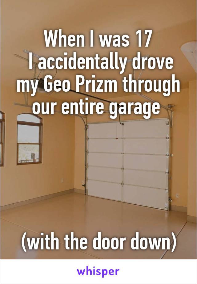 When I was 17
 I accidentally drove my Geo Prizm through our entire garage 





(with the door down)