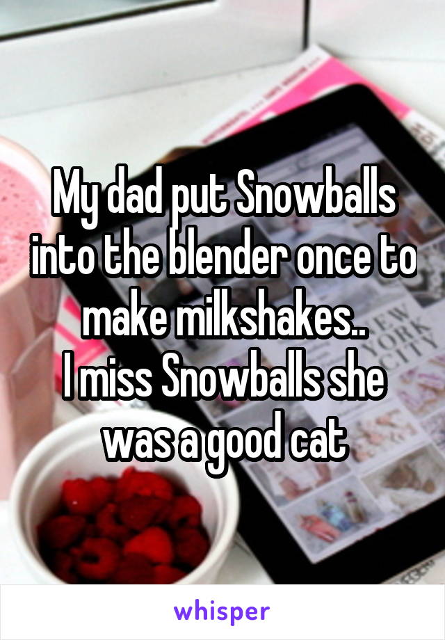 My dad put Snowballs into the blender once to make milkshakes..
I miss Snowballs she was a good cat