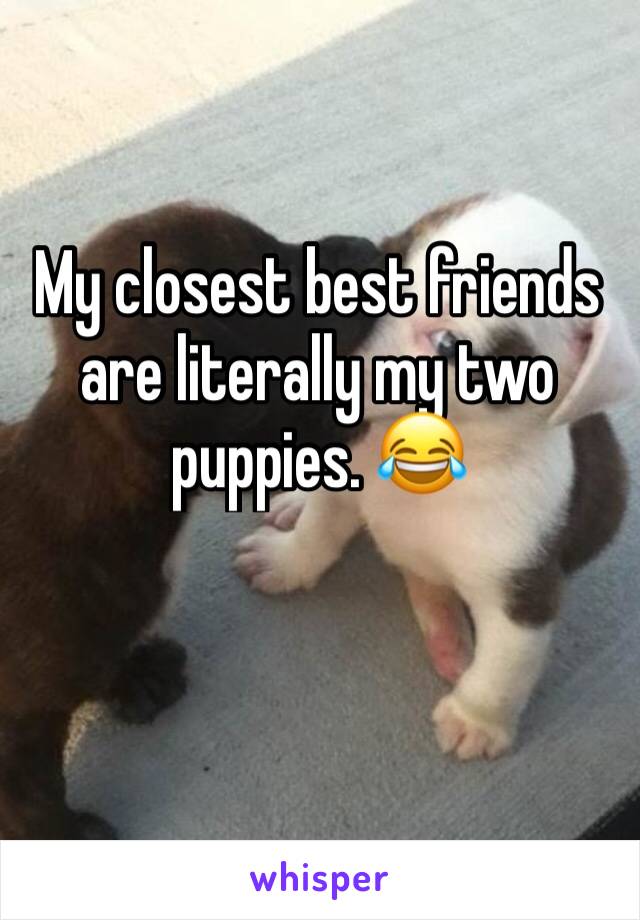 My closest best friends are literally my two puppies. 😂