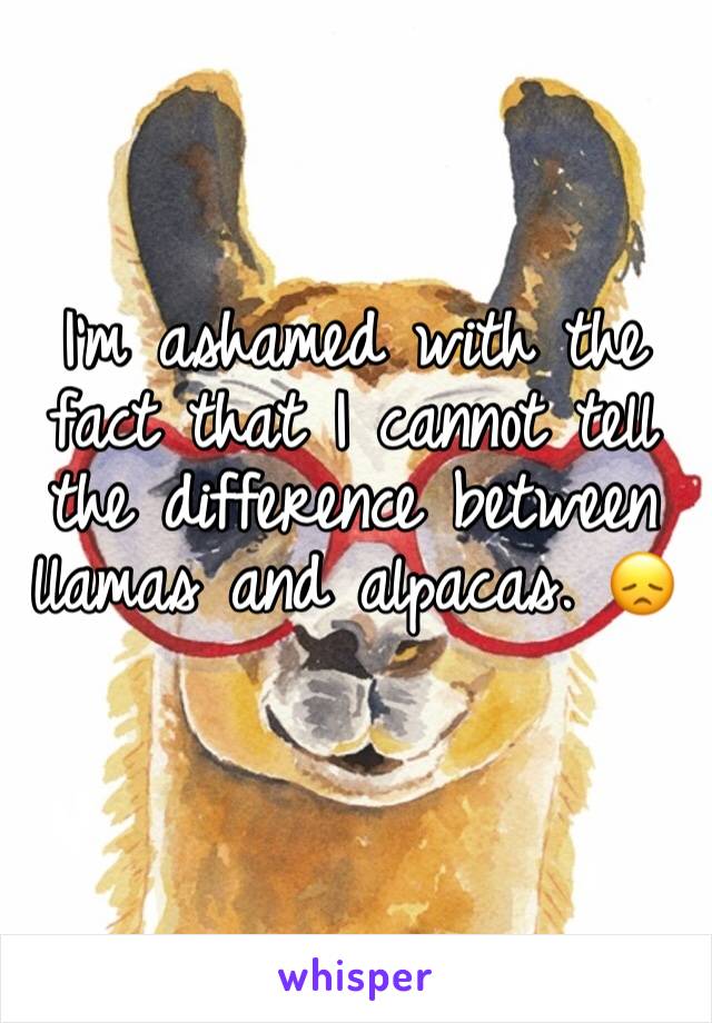 I'm ashamed with the fact that I cannot tell the difference between llamas and alpacas. 😞
