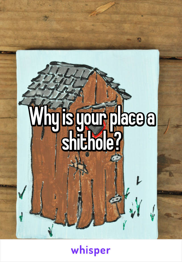 Why is your place a shithole?