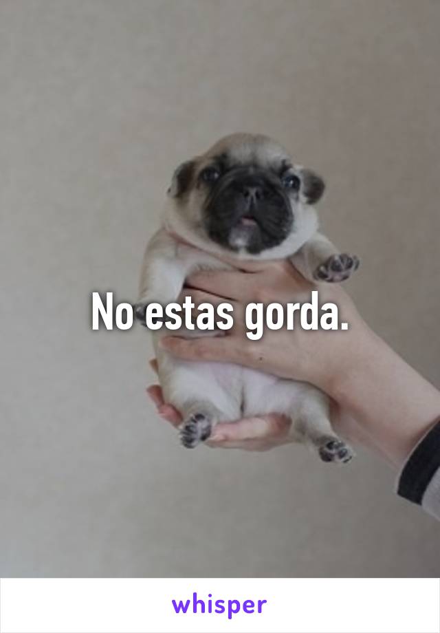 No estas gorda.