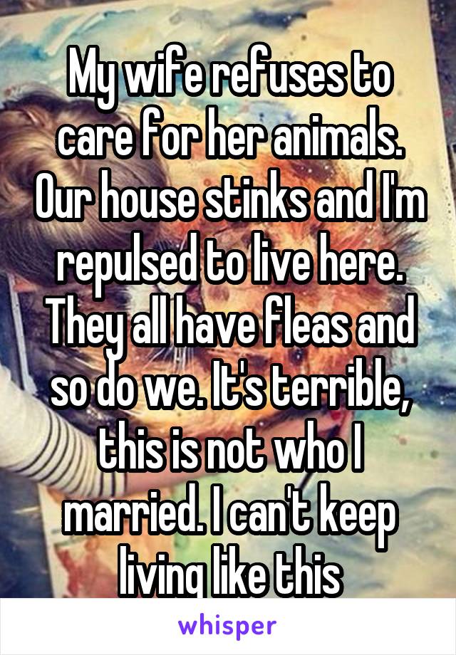 My wife refuses to care for her animals. Our house stinks and I'm repulsed to live here. They all have fleas and so do we. It's terrible, this is not who I married. I can't keep living like this