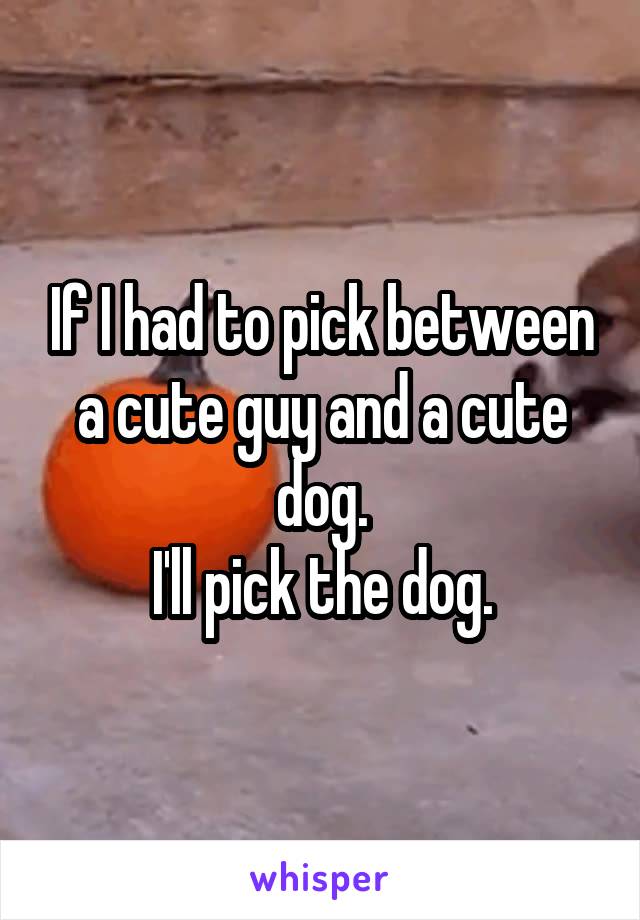 If I had to pick between a cute guy and a cute dog.
I'll pick the dog.