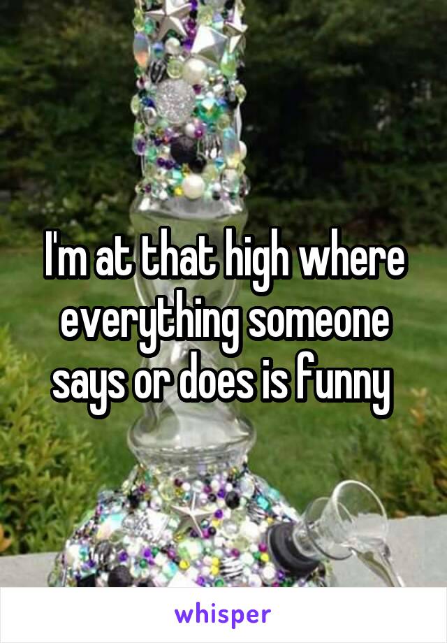 I'm at that high where everything someone says or does is funny 