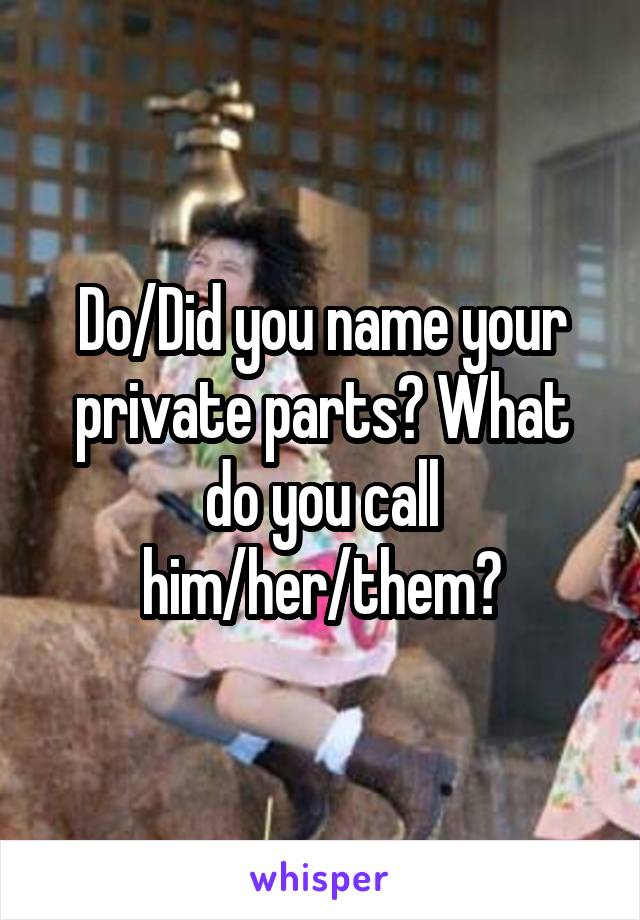 Do/Did you name your private parts? What do you call him/her/them?