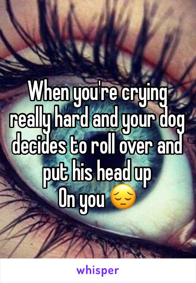 When you're crying really hard and your dog decides to roll over and put his head up
On you 😔