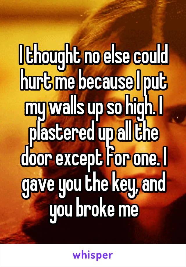 I thought no else could hurt me because I put my walls up so high. I plastered up all the door except for one. I gave you the key, and you broke me