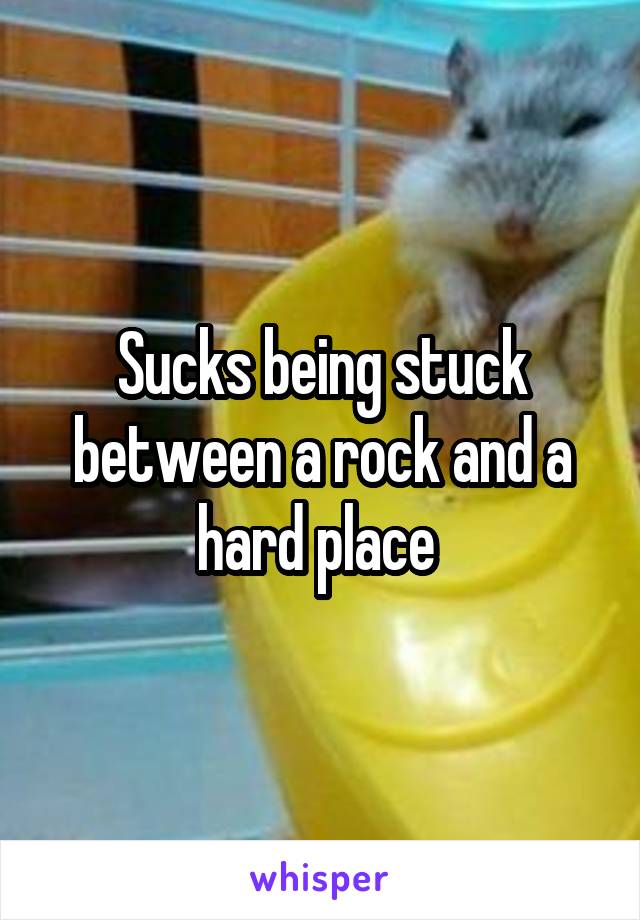 Sucks being stuck between a rock and a hard place 