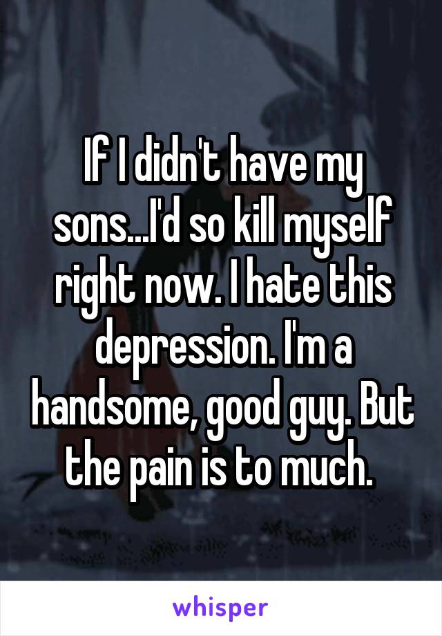 If I didn't have my sons...I'd so kill myself right now. I hate this depression. I'm a handsome, good guy. But the pain is to much. 