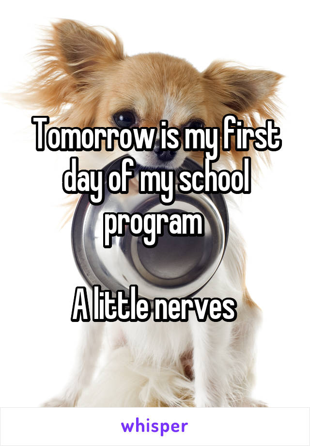 Tomorrow is my first day of my school program 

A little nerves 