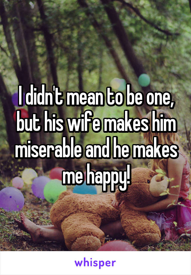 I didn't mean to be one, but his wife makes him miserable and he makes me happy!