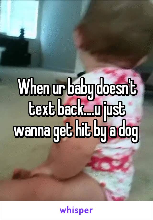 When ur baby doesn't text back....u just wanna get hit by a dog 