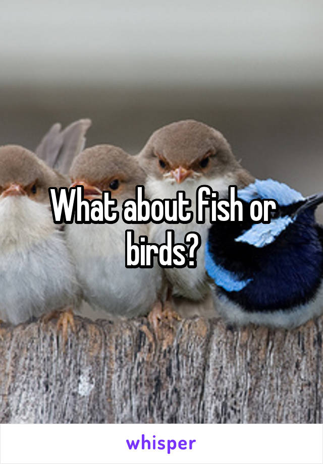 What about fish or birds?