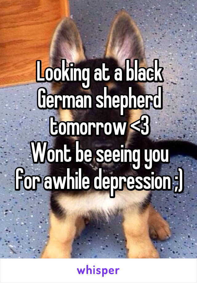 Looking at a black German shepherd tomorrow <3
Wont be seeing you for awhile depression ;)
