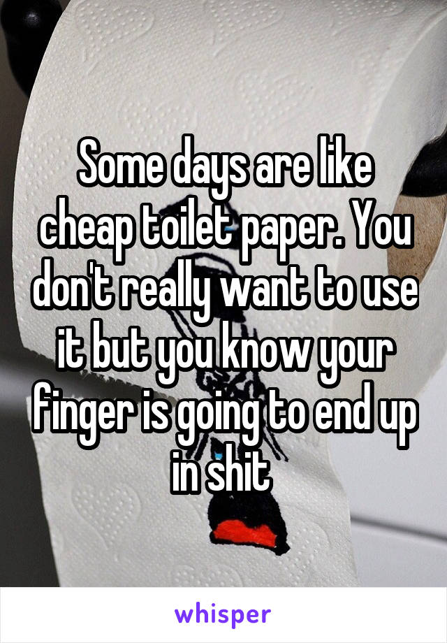 Some days are like cheap toilet paper. You don't really want to use it but you know your finger is going to end up in shit 