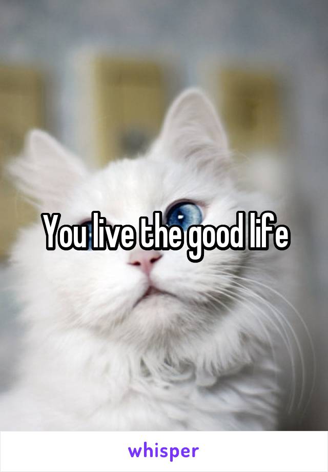 You live the good life