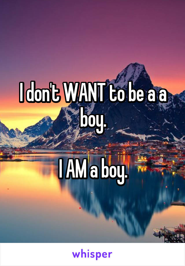 I don't WANT to be a a boy.

I AM a boy.