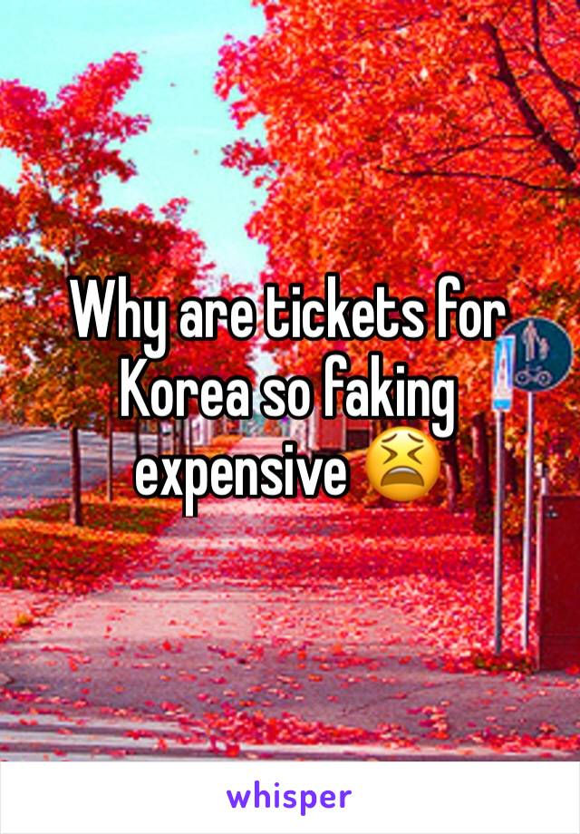 Why are tickets for Korea so faking expensive 😫