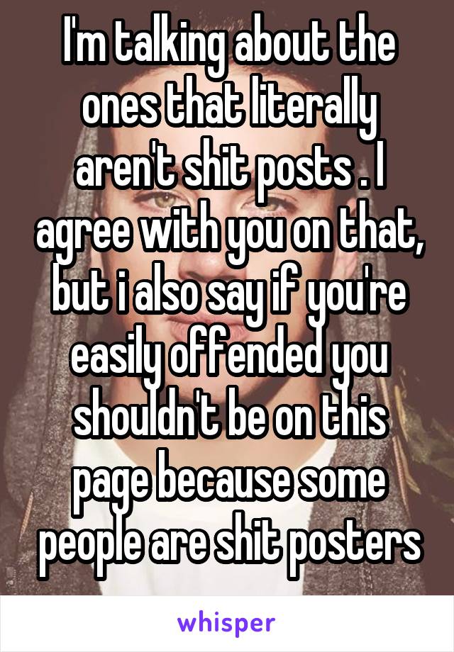 I'm talking about the ones that literally aren't shit posts . I agree with you on that, but i also say if you're easily offended you shouldn't be on this page because some people are shit posters .