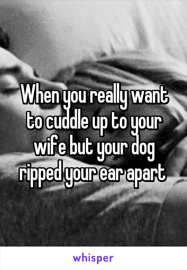 When you really want to cuddle up to your wife but your dog ripped your ear apart 