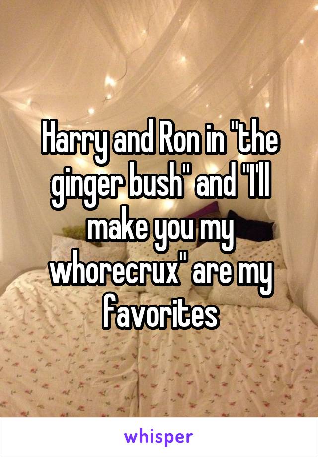 Harry and Ron in "the ginger bush" and "I'll make you my whorecrux" are my favorites