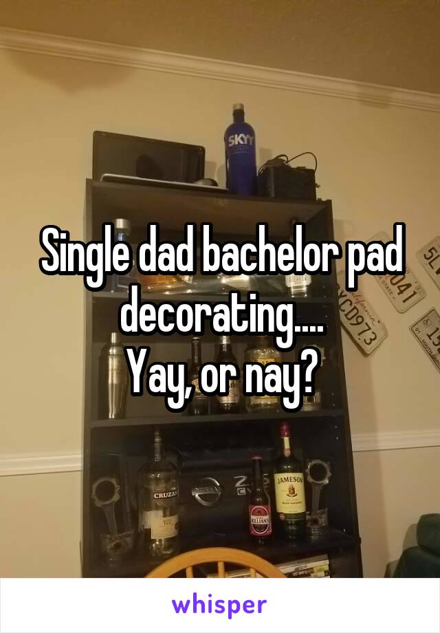 Single dad bachelor pad decorating....
Yay, or nay?