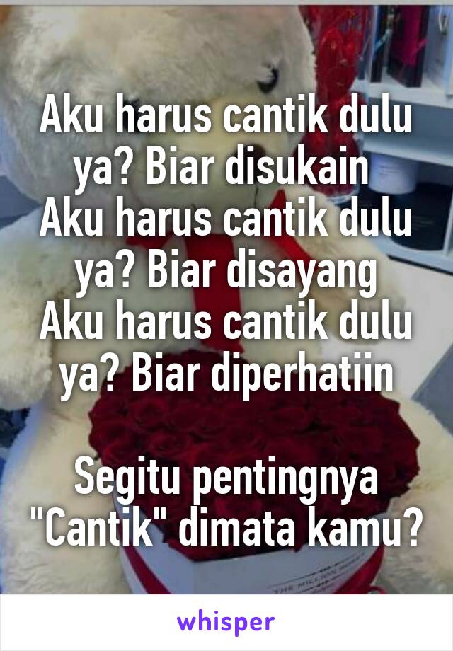 Aku harus cantik dulu ya? Biar disukain 
Aku harus cantik dulu ya? Biar disayang
Aku harus cantik dulu ya? Biar diperhatiin

Segitu pentingnya "Cantik" dimata kamu?