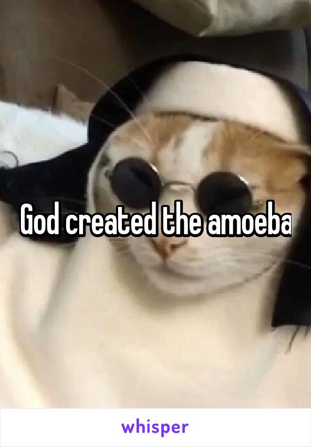 God created the amoeba