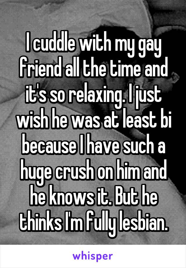 I cuddle with my gay friend all the time and it's so relaxing. I just wish he was at least bi because I have such a huge crush on him and he knows it. But he thinks I'm fully lesbian.