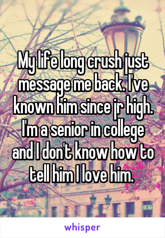 My life long crush just message me back. I've known him since jr high. I'm a senior in college and I don't know how to tell him I love him. 