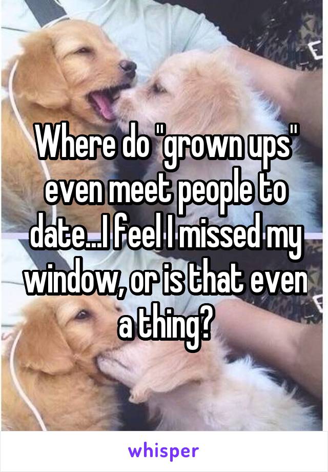 Where do "grown ups" even meet people to date...I feel I missed my window, or is that even a thing?