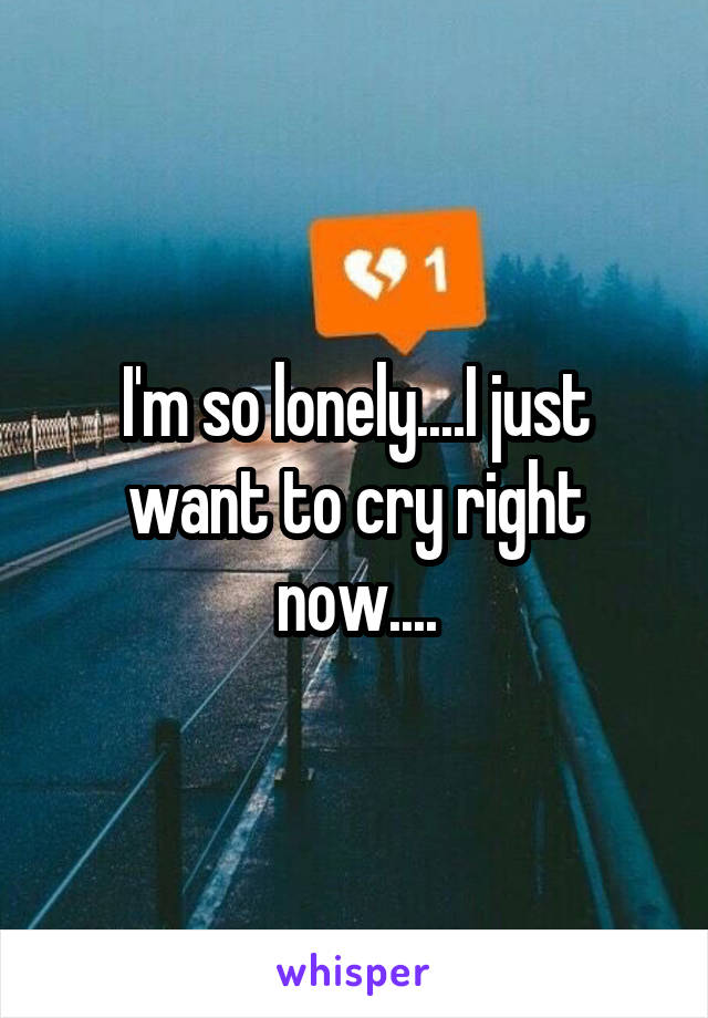 I'm so lonely....I just want to cry right now....