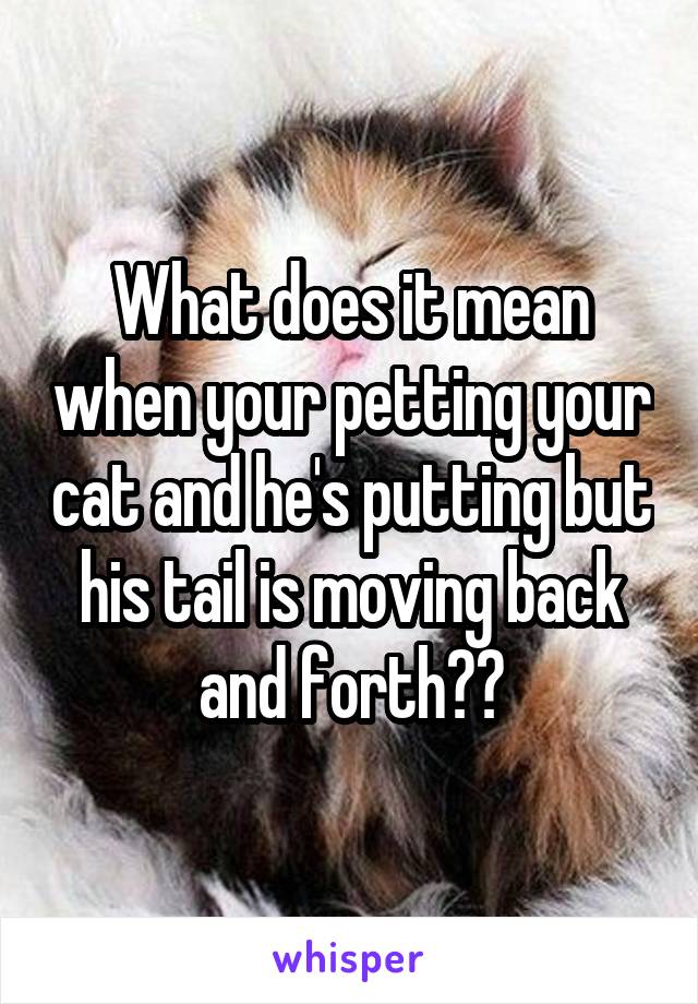 What does it mean when your petting your cat and he's putting but his tail is moving back and forth??