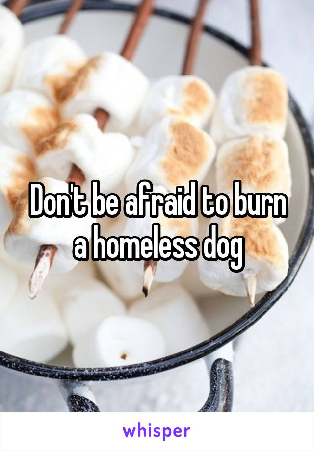 Don't be afraid to burn a homeless dog