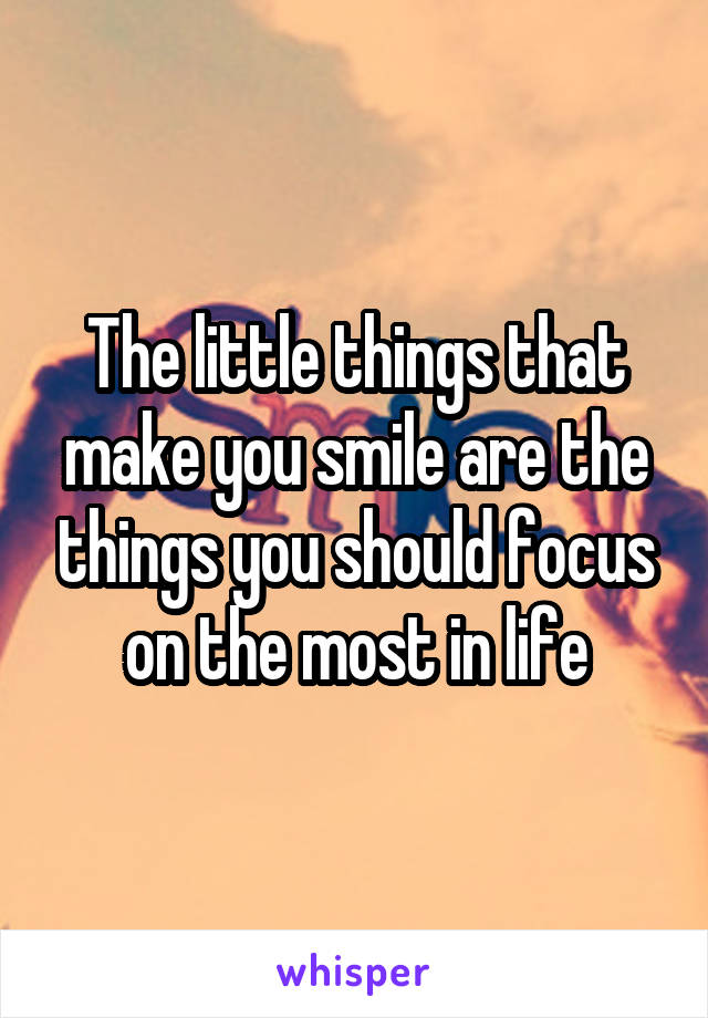 The little things that make you smile are the things you should focus on the most in life