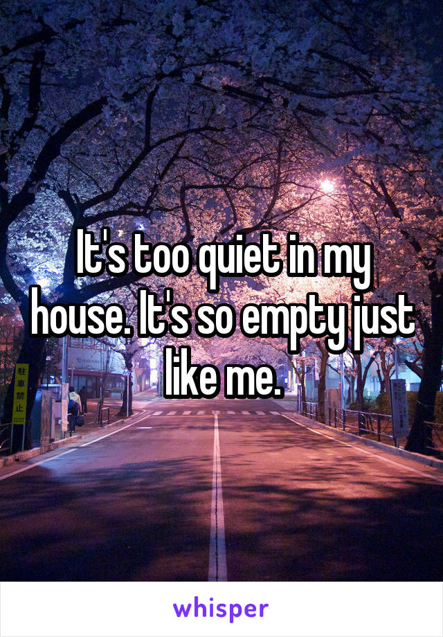 It's too quiet in my house. It's so empty just like me.