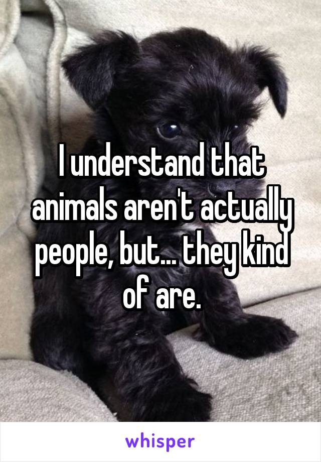 I understand that animals aren't actually people, but... they kind of are.