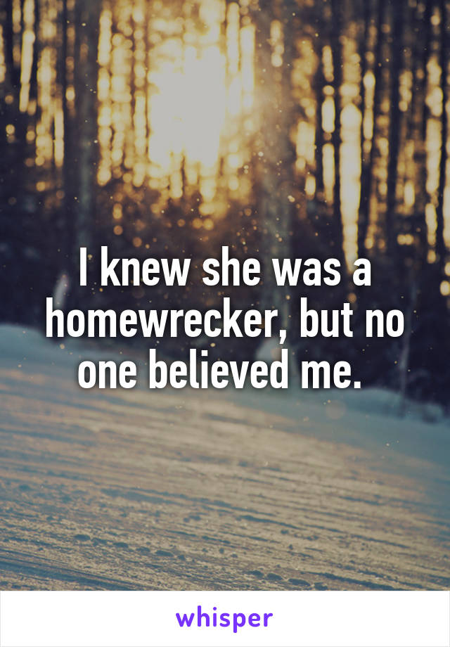 I knew she was a homewrecker, but no one believed me. 