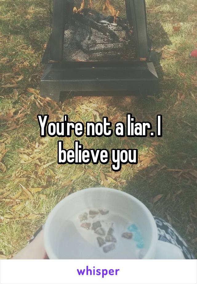 You're not a liar. I believe you 