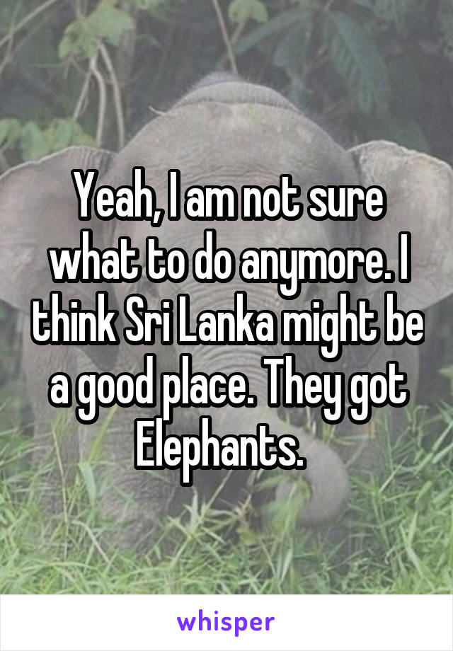 Yeah, I am not sure what to do anymore. I think Sri Lanka might be a good place. They got Elephants.  