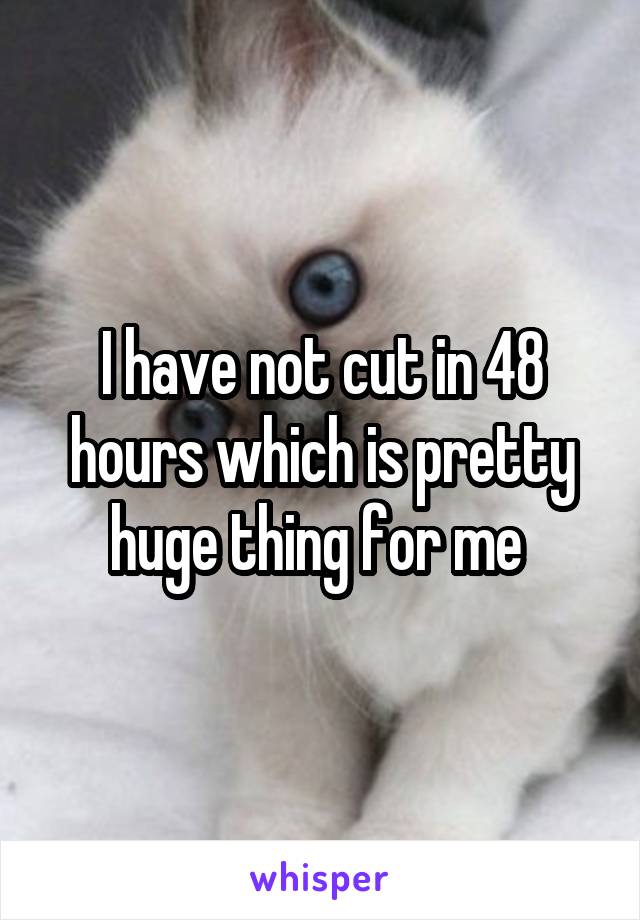 I have not cut in 48 hours which is pretty huge thing for me 